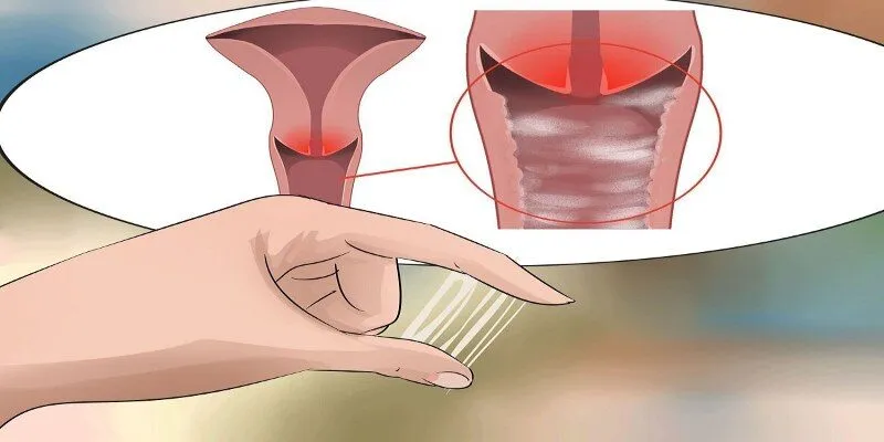Tìm hiểu cách làm sáng và đều màu âm đạo là gì